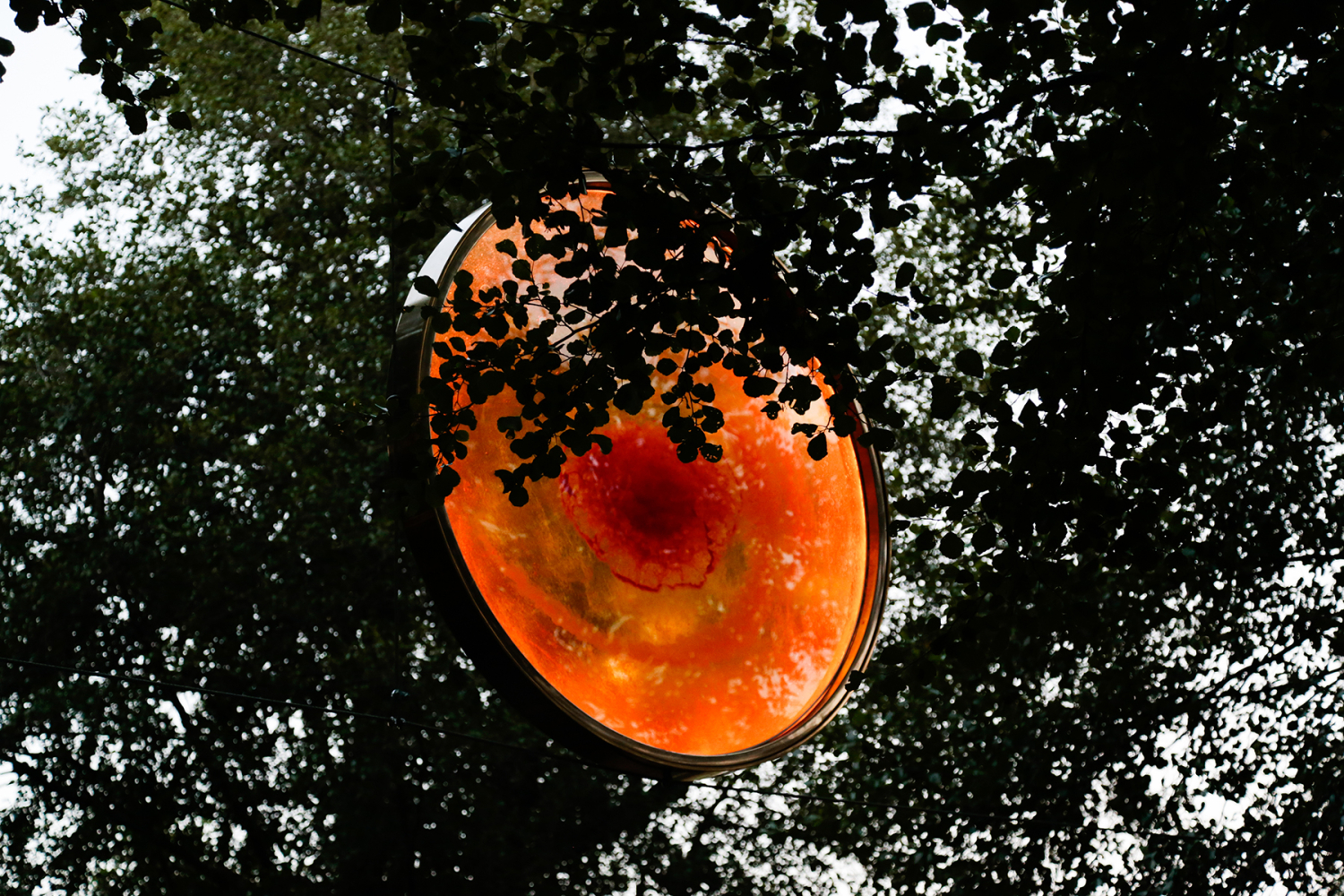 Corticada Moongate4 ©MAG-Marques de Aguiar (1)